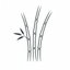 Bamboo Icon